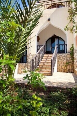 Teras/patio