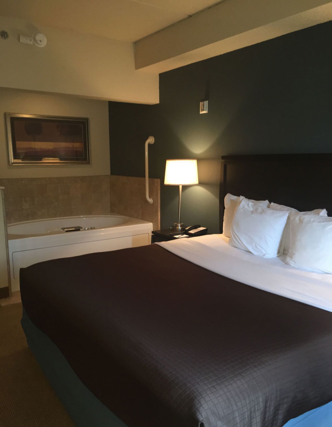 Desk, blackout drapes, soundproofing, iron/ironing board