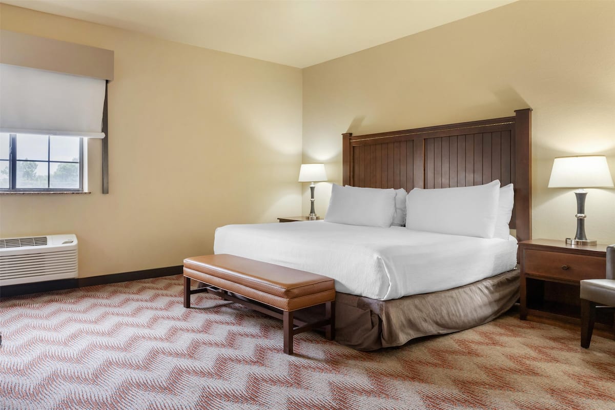 Standard Room, 1 King Bed, Accessible, Non Smoking