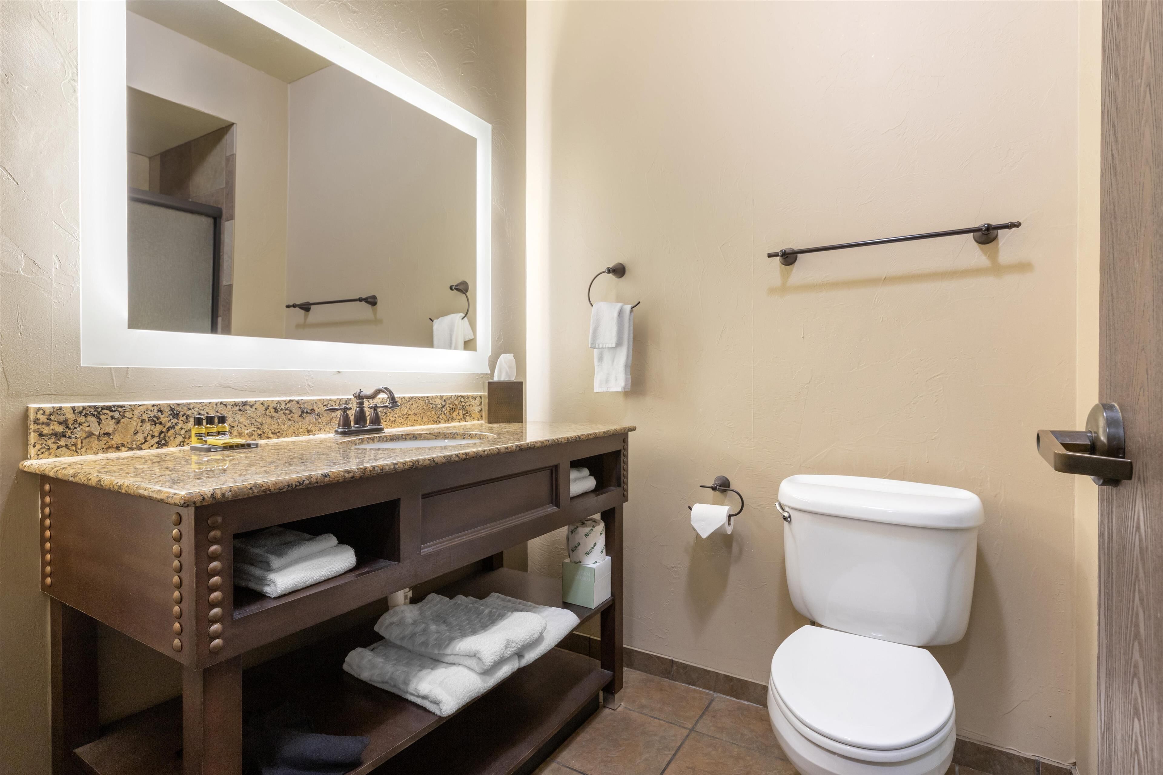 Een badkamer met een wastafel met granieten blad, een grote spiegel, een toilet en een handdoekrek.
