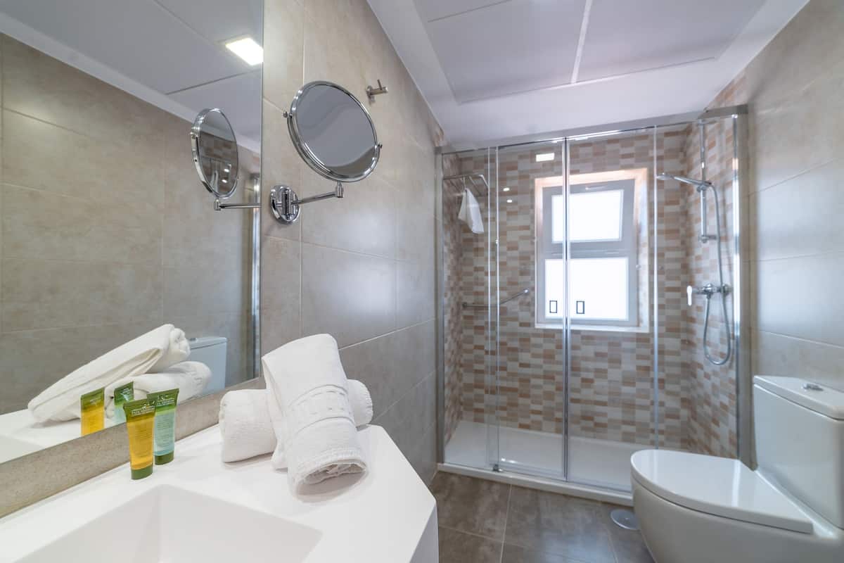 single room | bathroom | shower, free toiletries, hair dryer, bidet