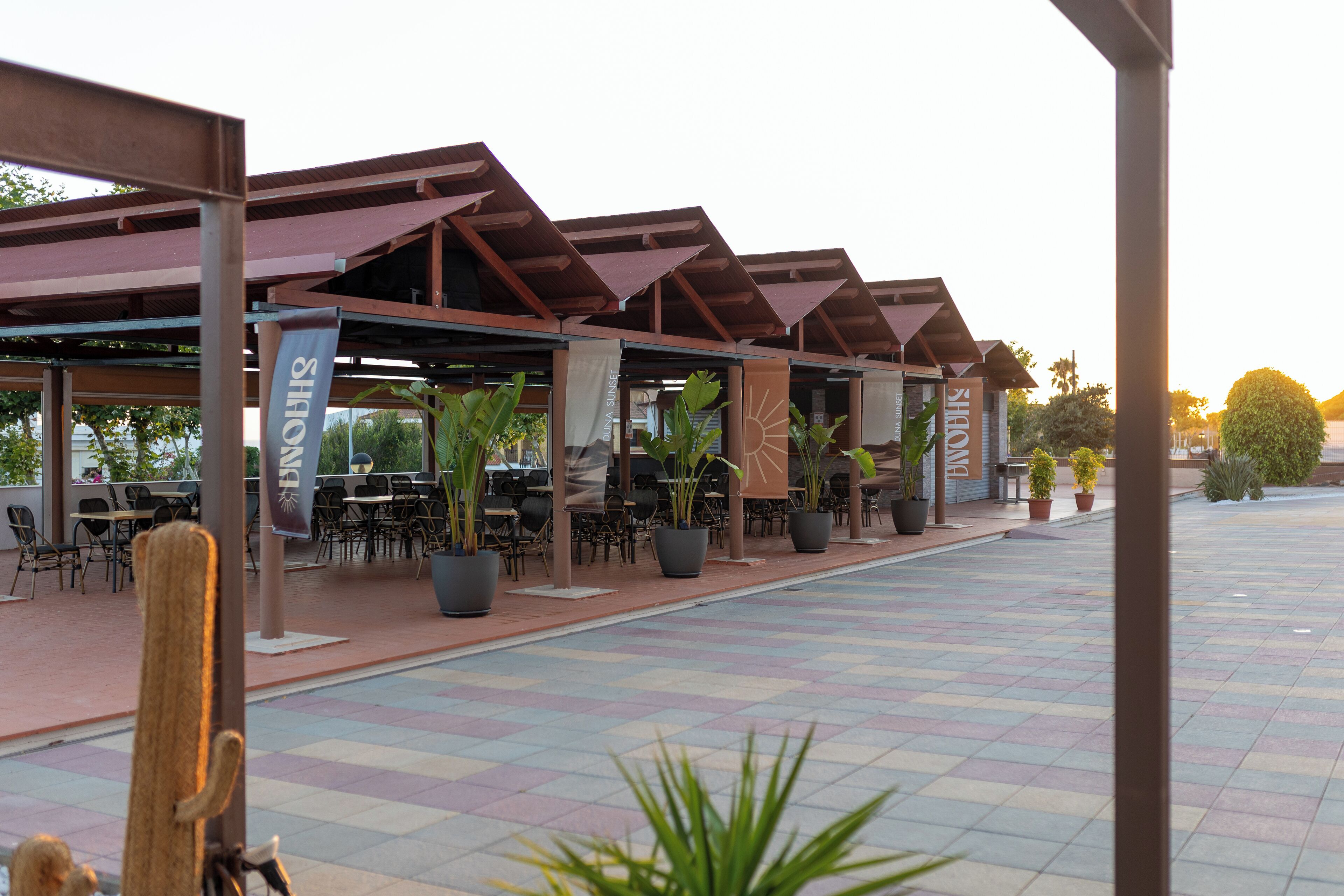 An outdoor seating area with tables and chairs, potted plants, and a cactus.