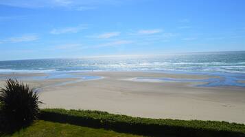 A beach with a clear sky and calm sea.