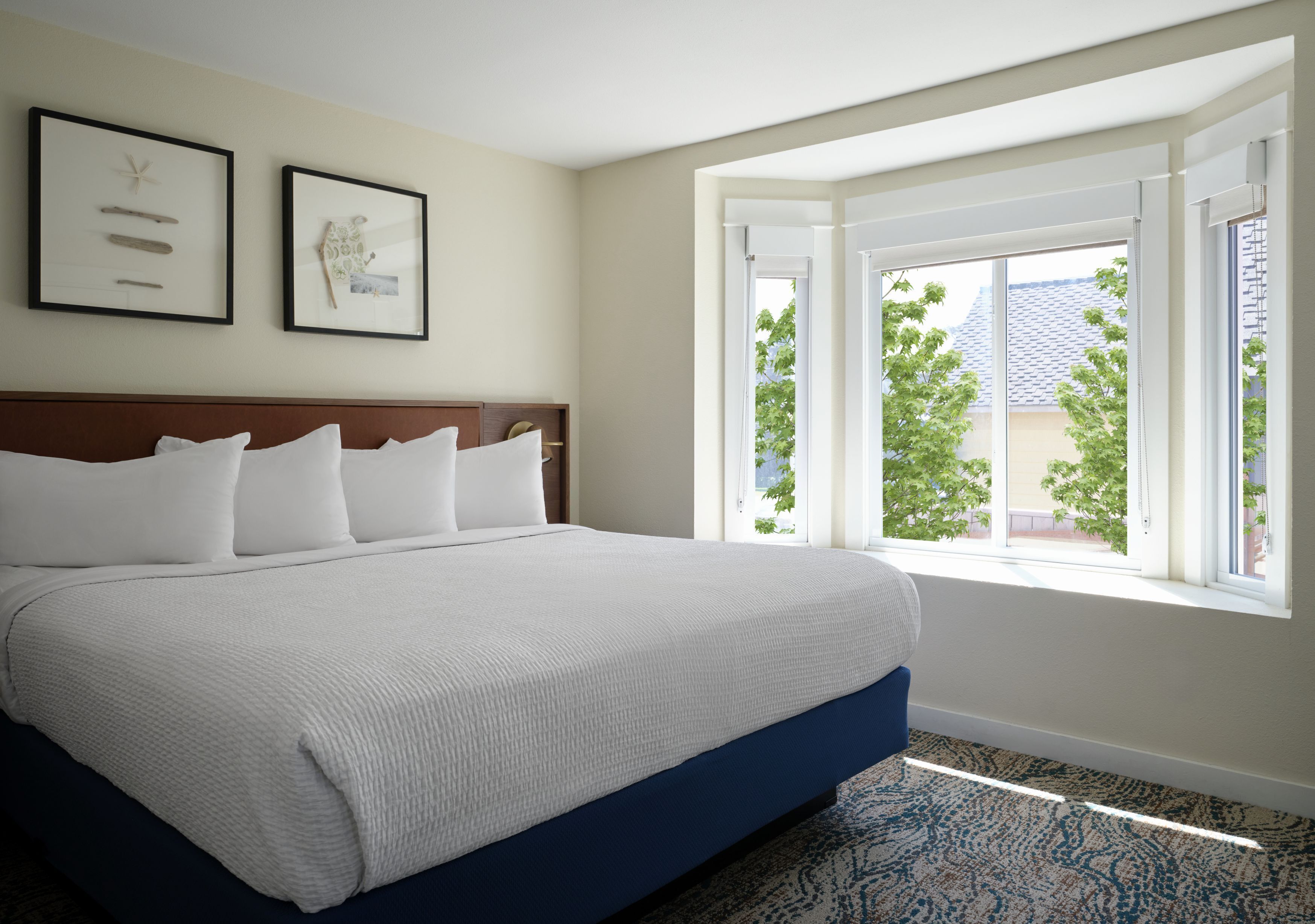 A hotel room with a large bed, a headboard, two framed pictures on the wall, and a window with a view of trees and a building.