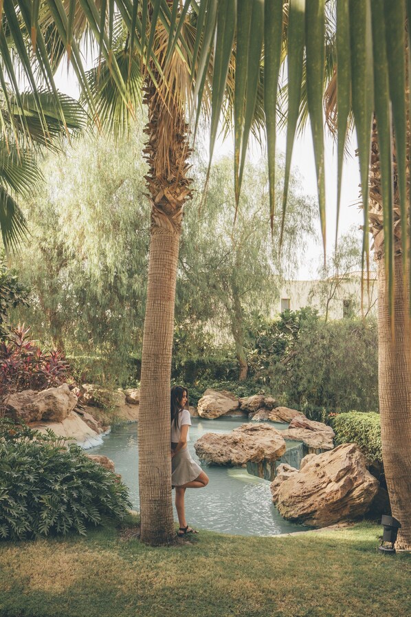 Garden - Dusit Thani LakeView Cairo (New Cairo)