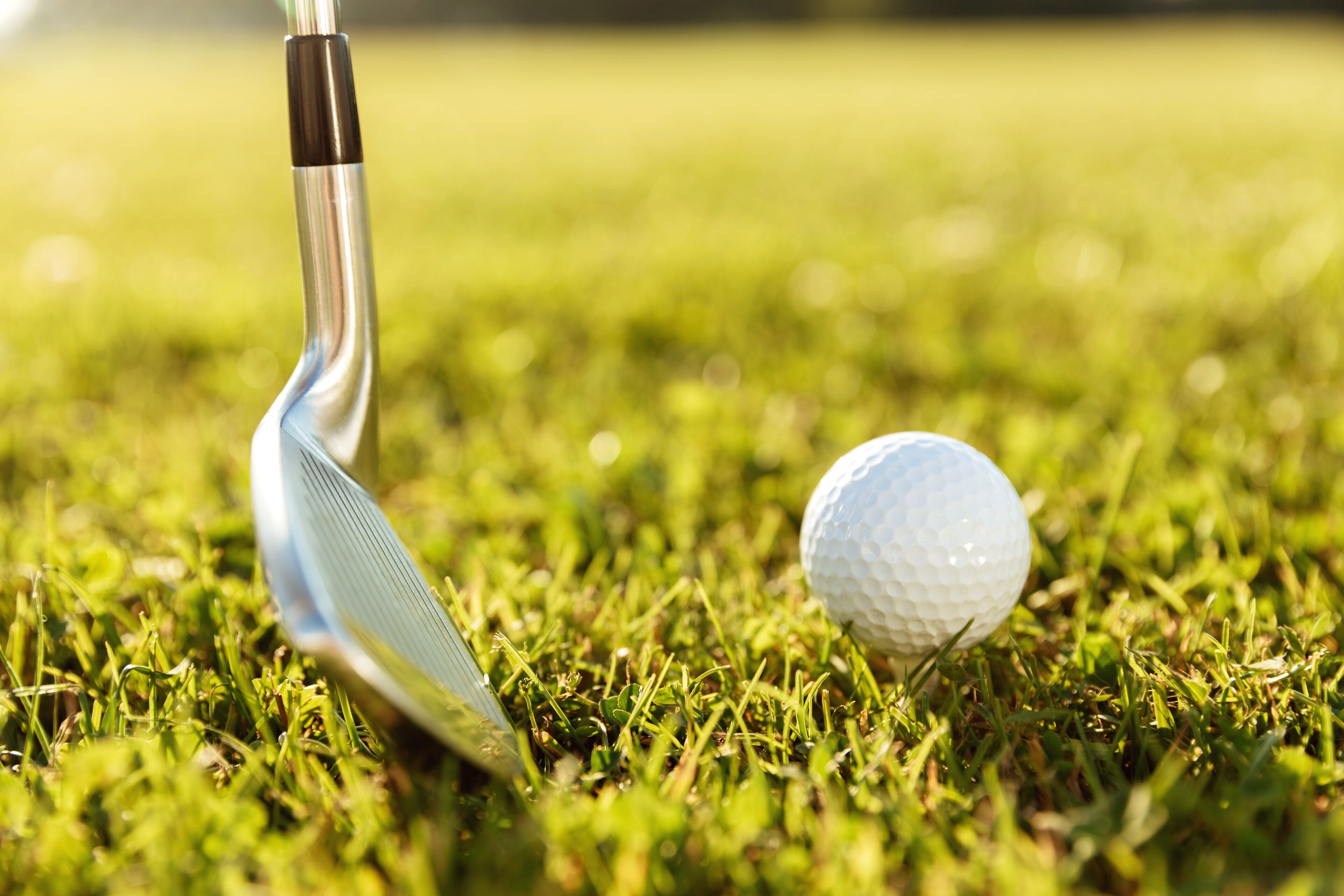 Un palo de golf y una pelota de golf sobre un campo de césped.