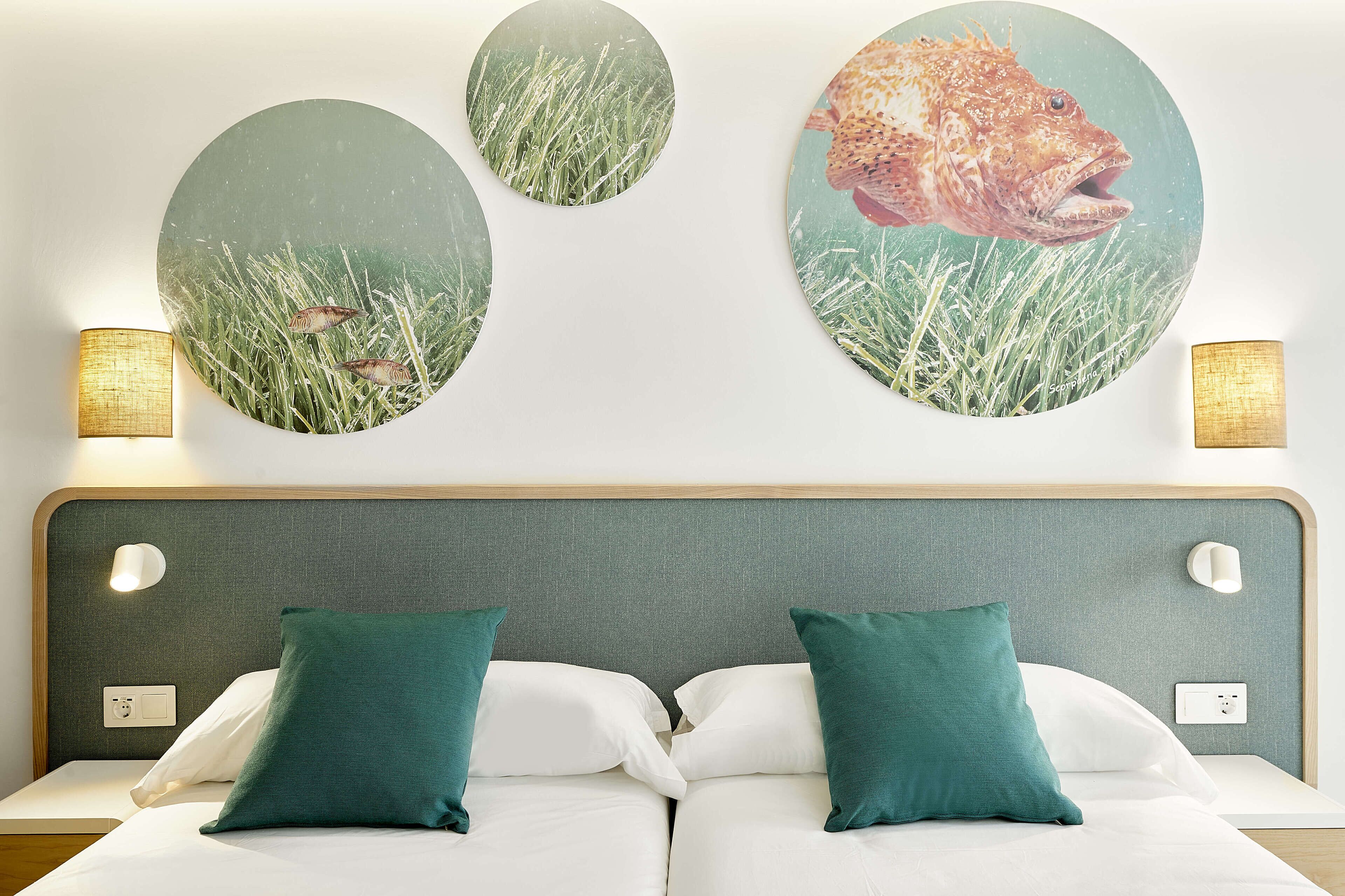 individually decorated, individually furnished, desk, blackout curtains