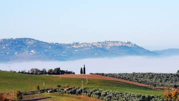 A rural landscape with a hill, olive groves, and a distant town.