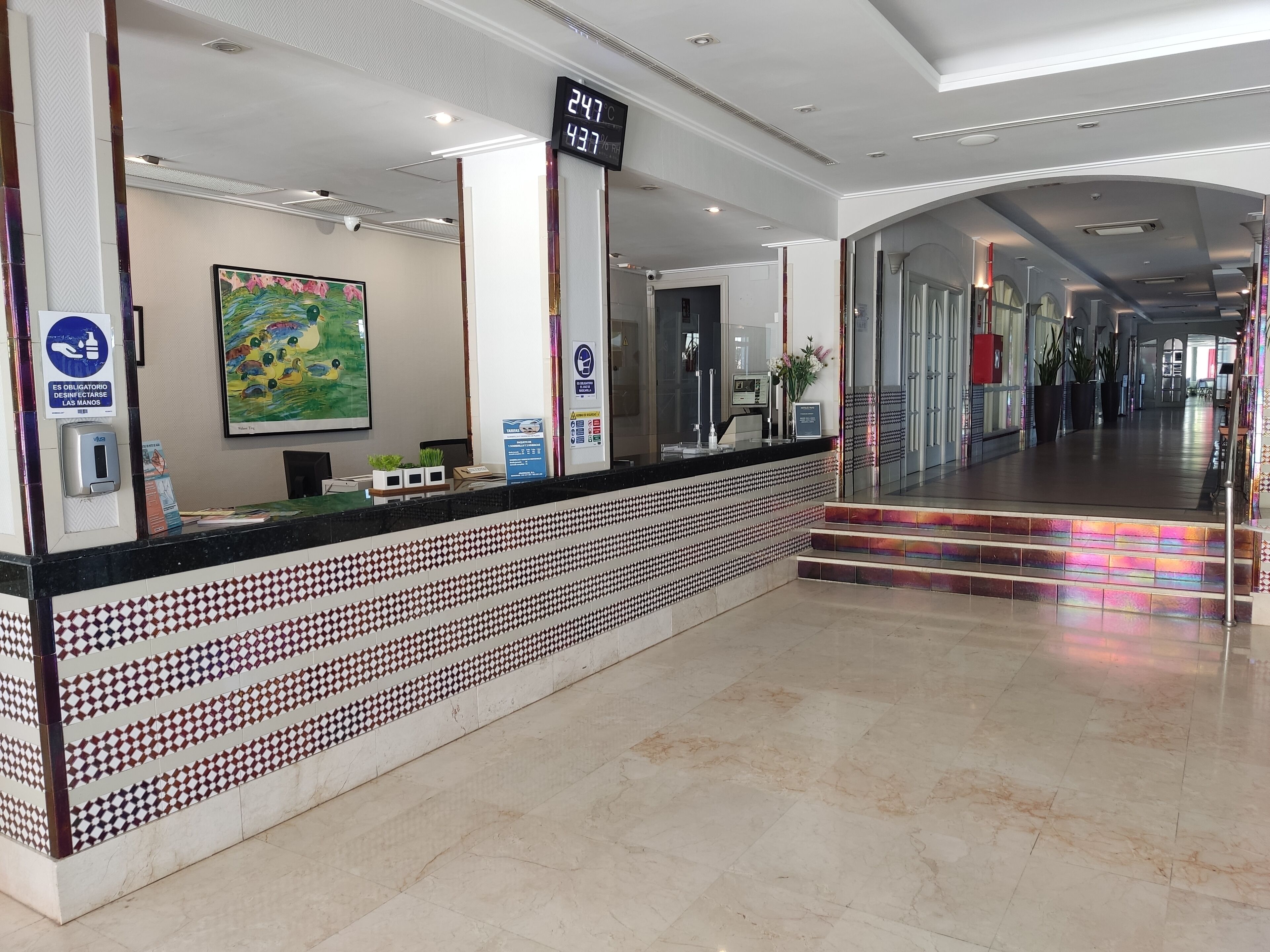 Photo - Pato Amarillo