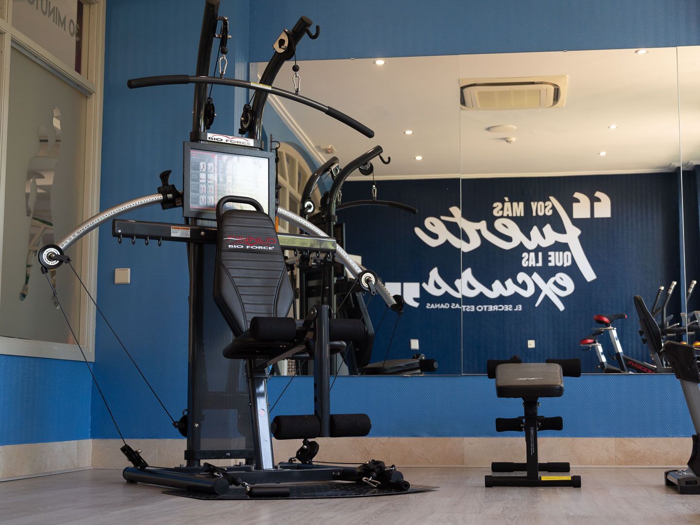 Photo - Pato Amarillo