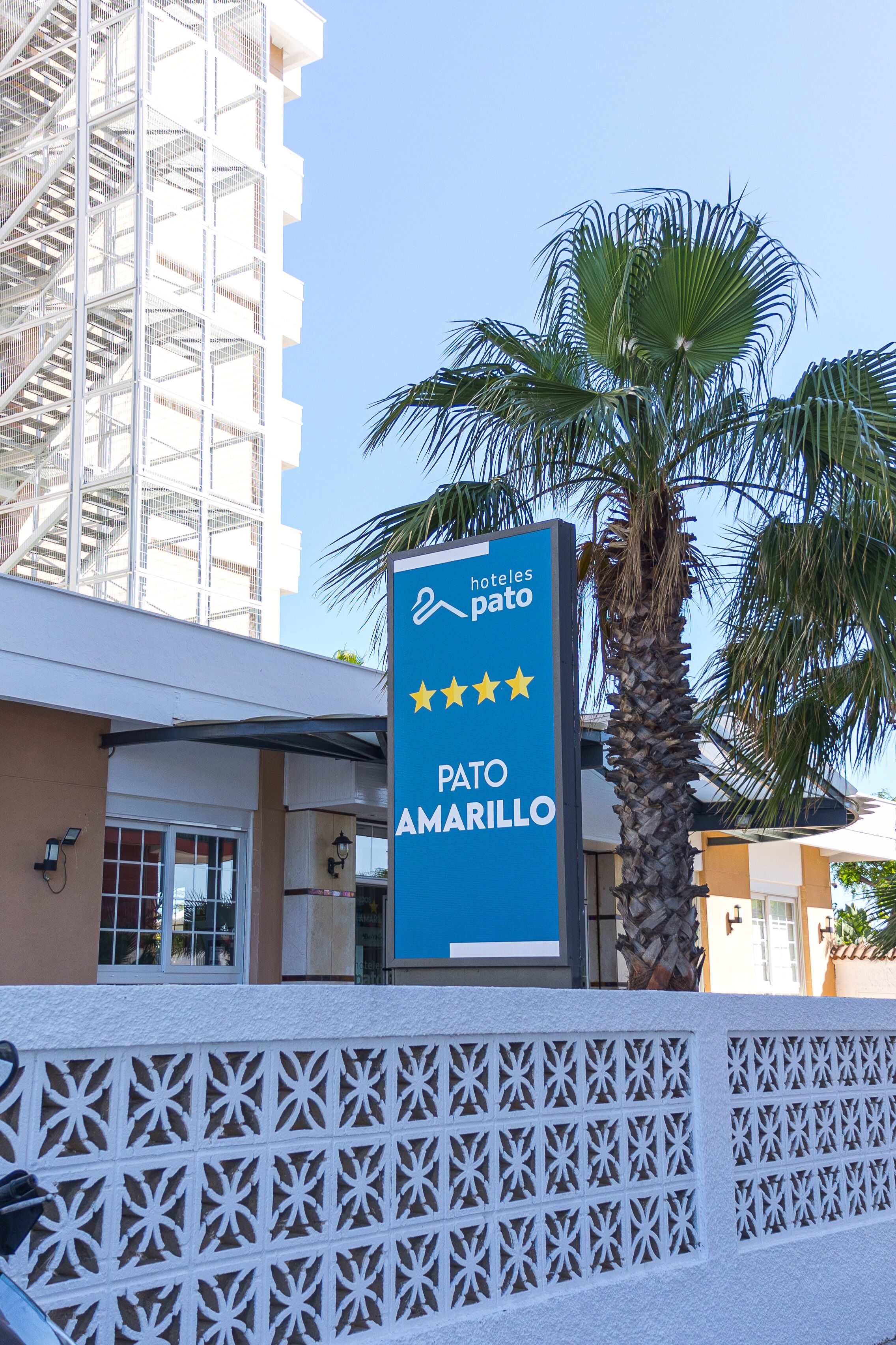 Photo - Pato Amarillo