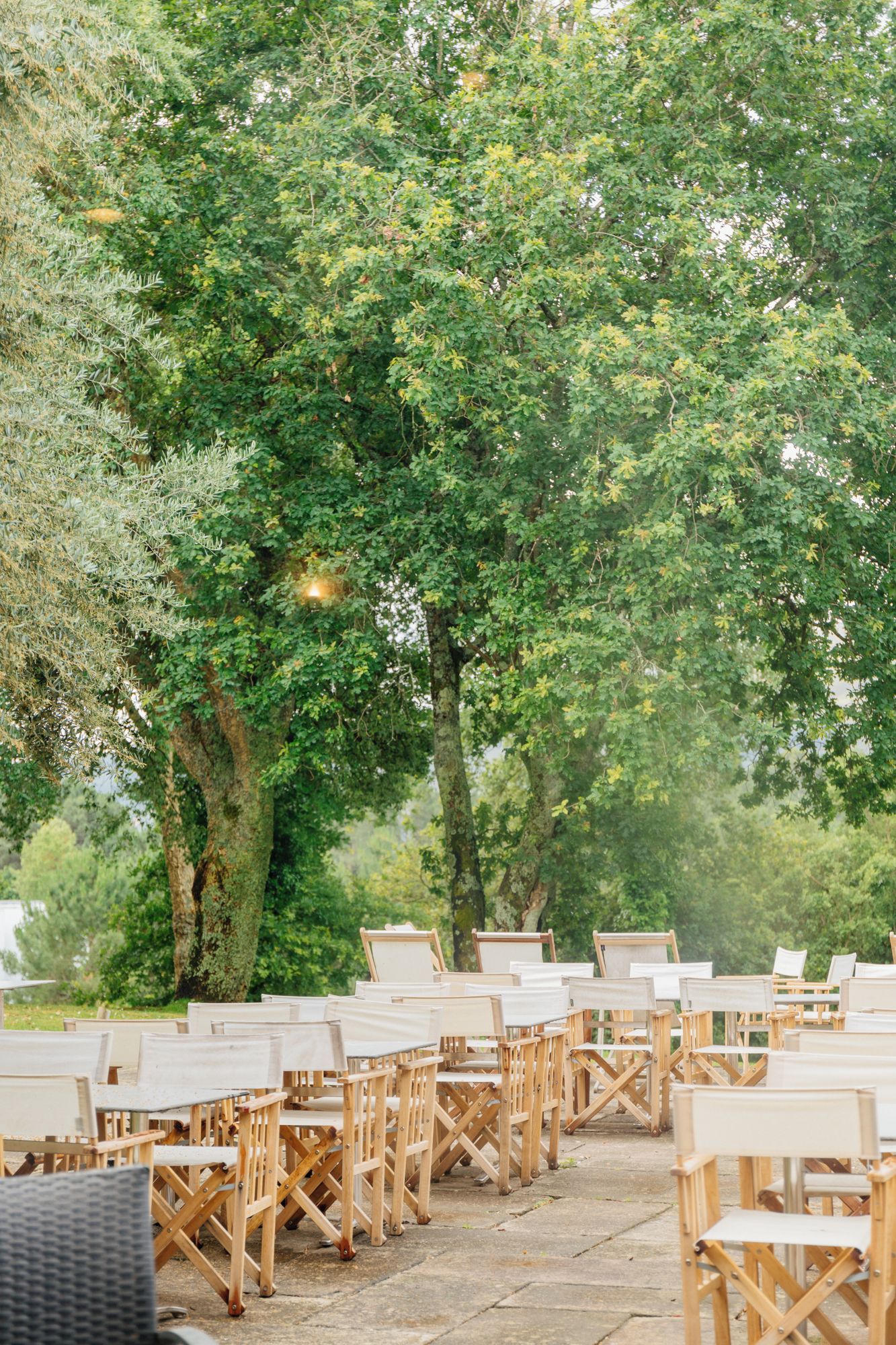 An outdoor seating area with wooden tables and chairs arranged under large trees.