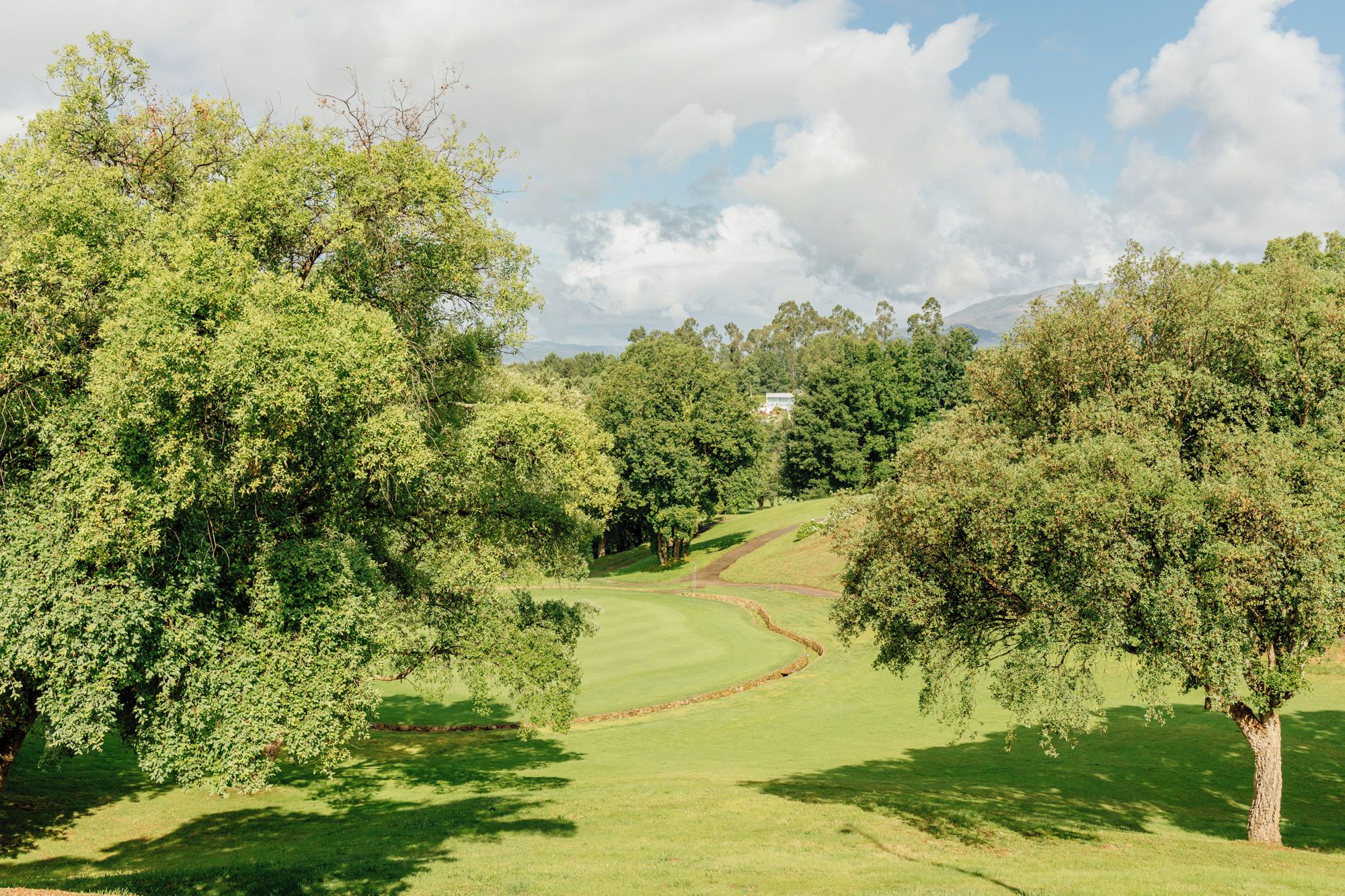 Ein Golfplatz mit Bäumen und einem Haus im Hintergrund.