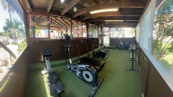 Un gimnasio con equipo de ejercicio, alfombra verde y ventanas amplias.