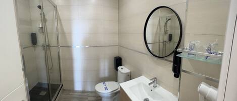 A modern bathroom with a glass shower enclosure, a toilet, a sink, and a mirror.