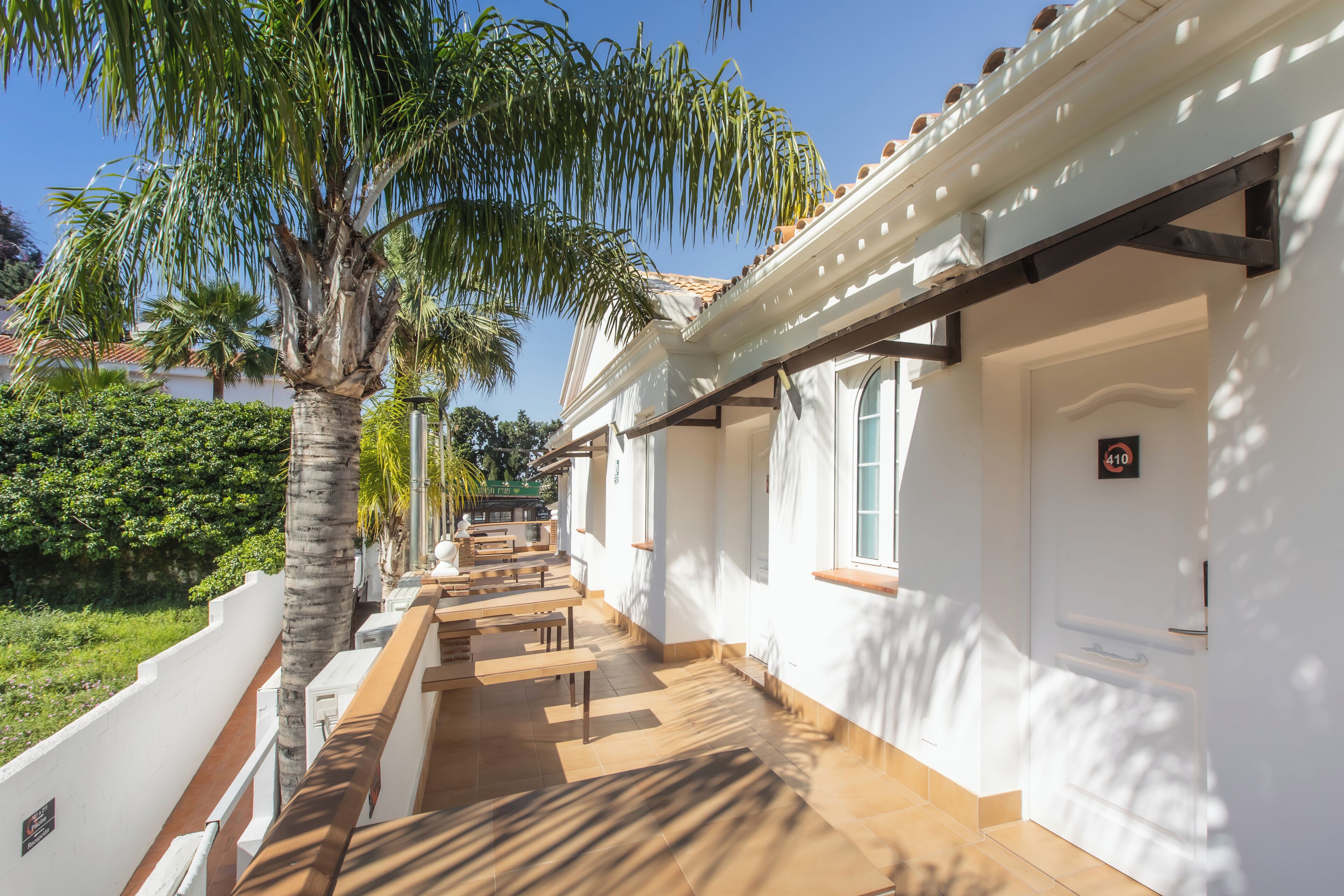 Un pasillo de hotel con piso de baldosas, paredes blancas y una palmera.