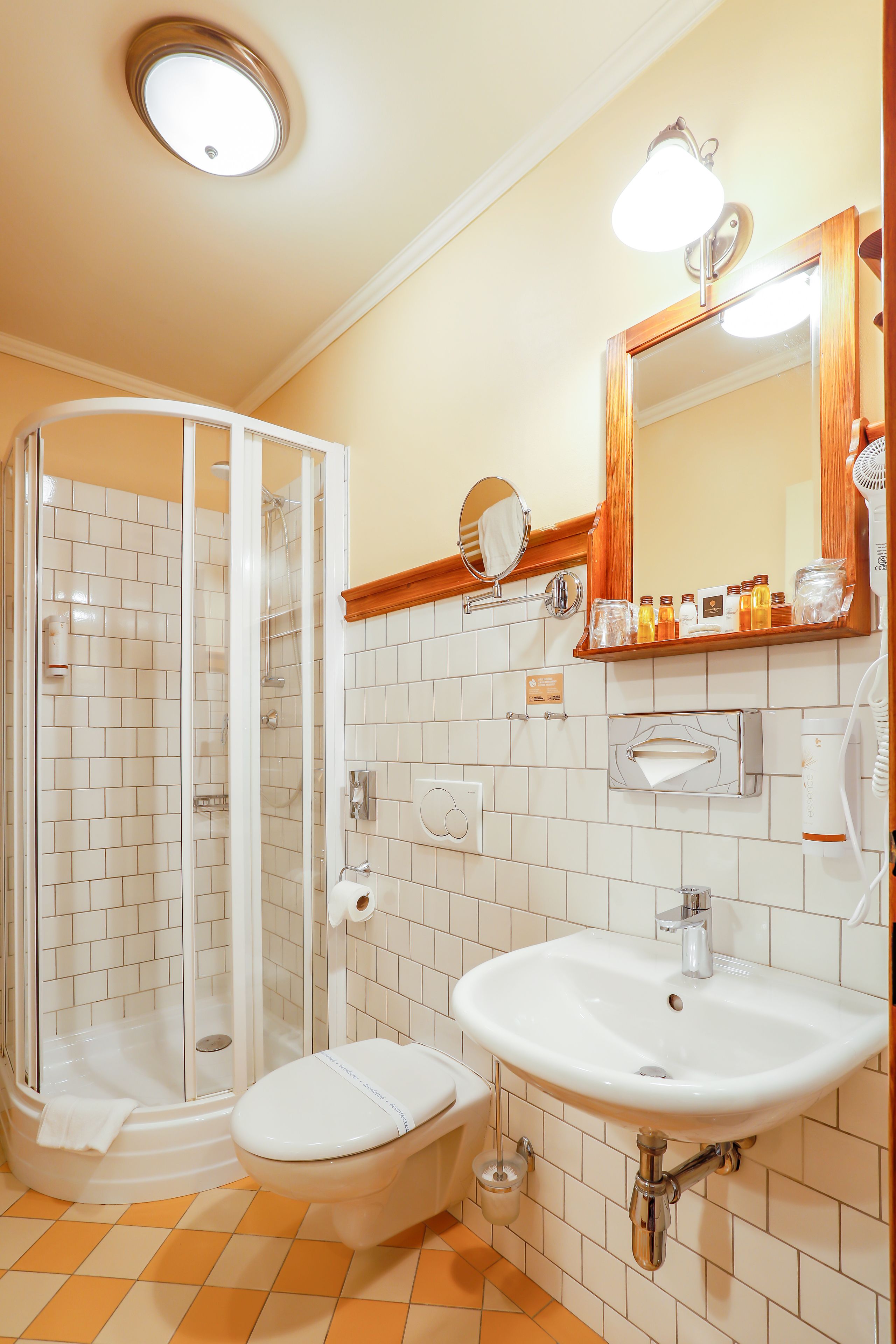 A bathroom with a glass-enclosed shower, a toilet, a sink, and a mirror above the sink.