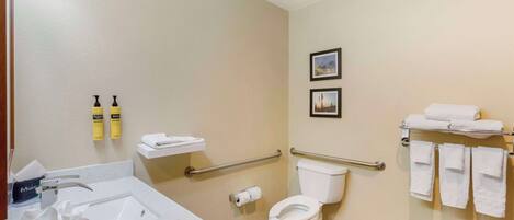A bathroom with a sink, toilet, and handrails. There are towels and toiletries on the wall.