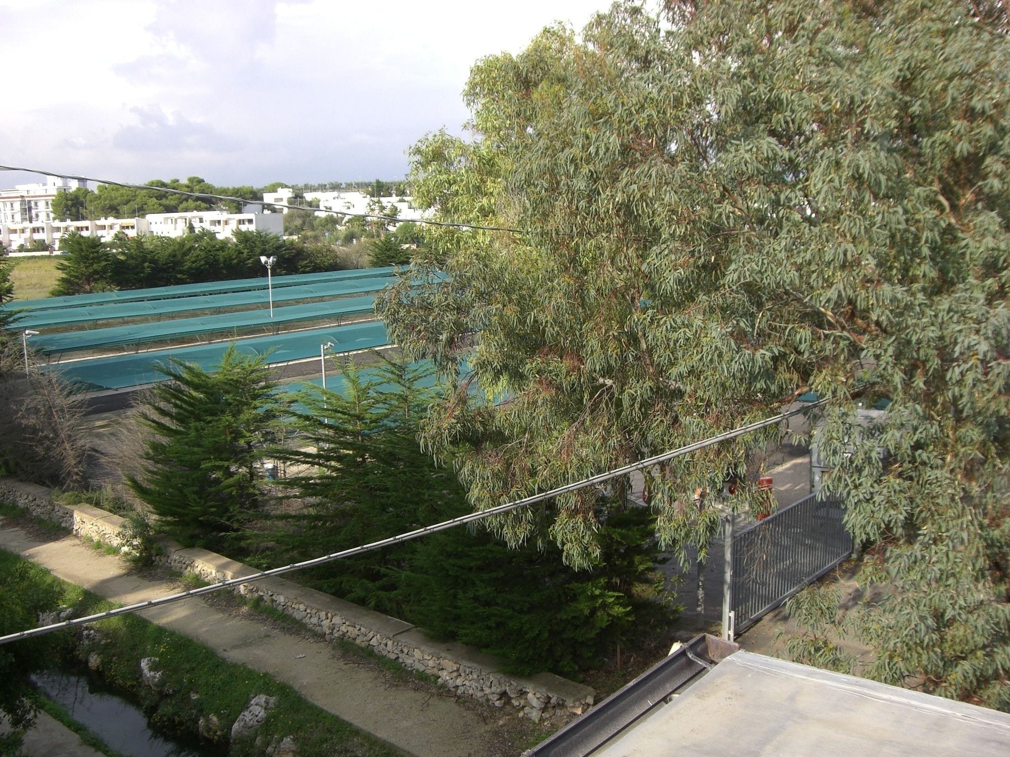 Foto - Conchiglia Azzurra Resort & Beach