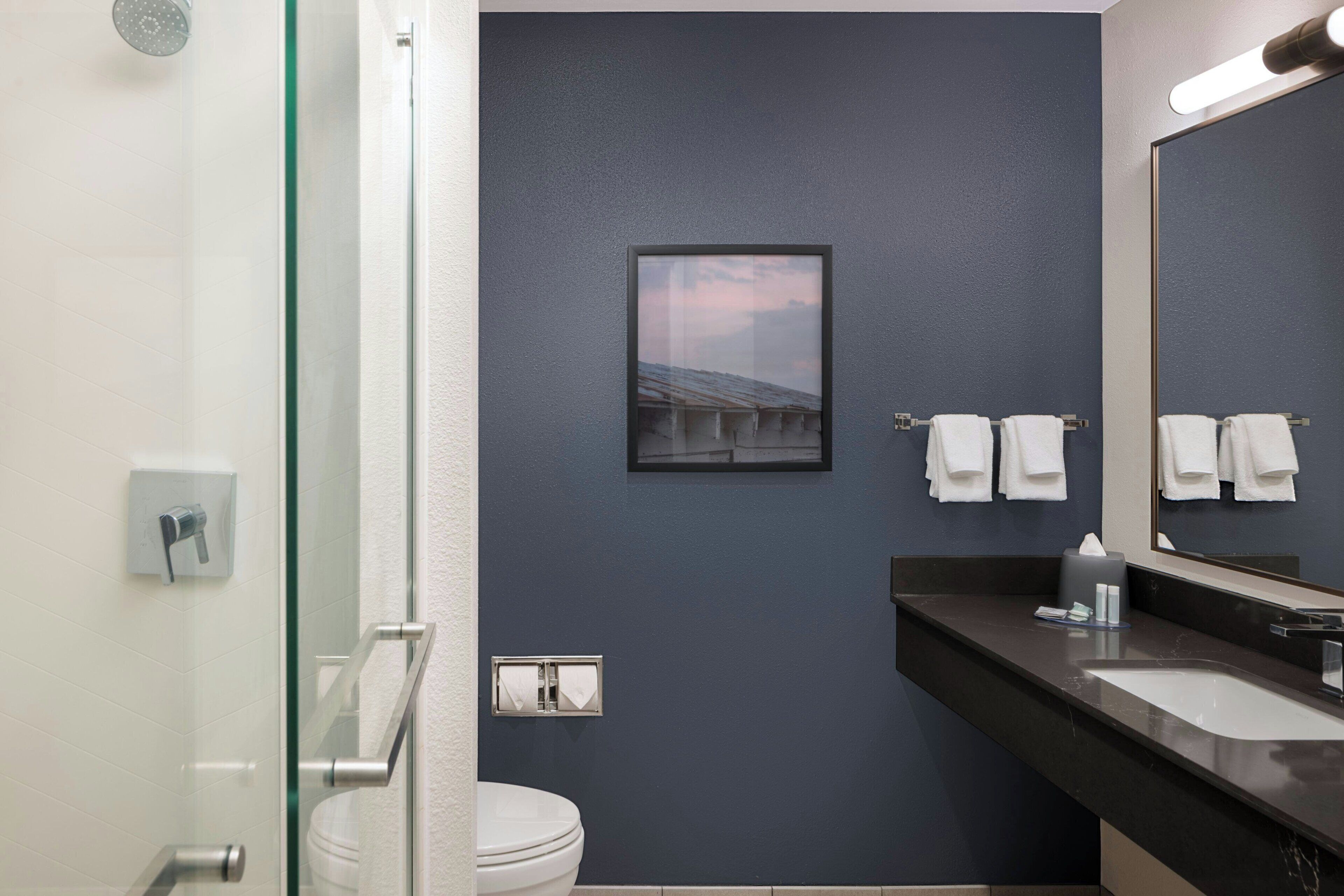 combined shower/bathtub, free toiletries, hair dryer, towels