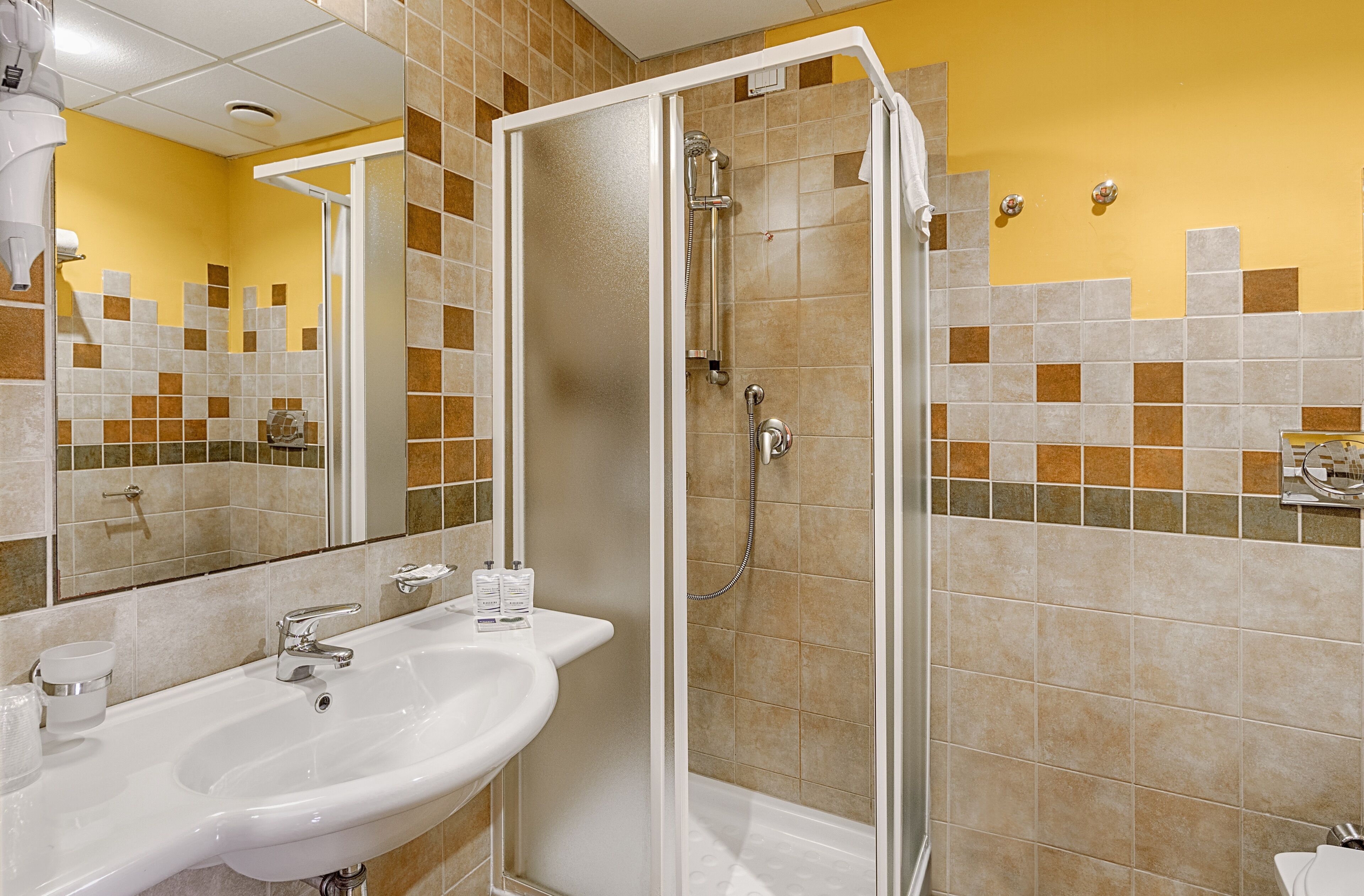 shower, free toiletries, hair dryer, bidet