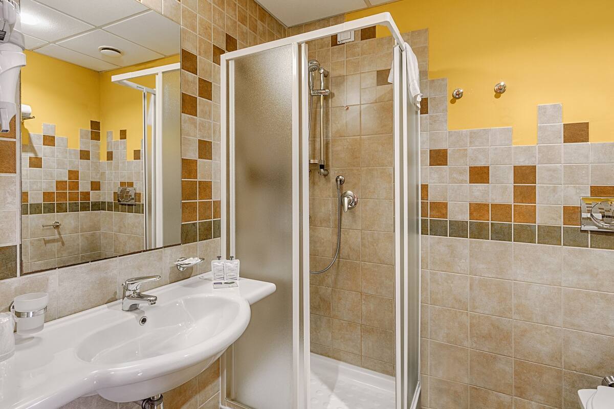 shower, free toiletries, hair dryer, bidet