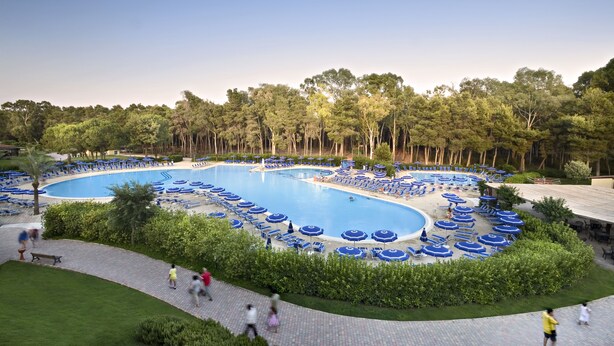 A large outdoor swimming pool surrounded by blue lounge chairs and umbrellas, with a forested area in the background.