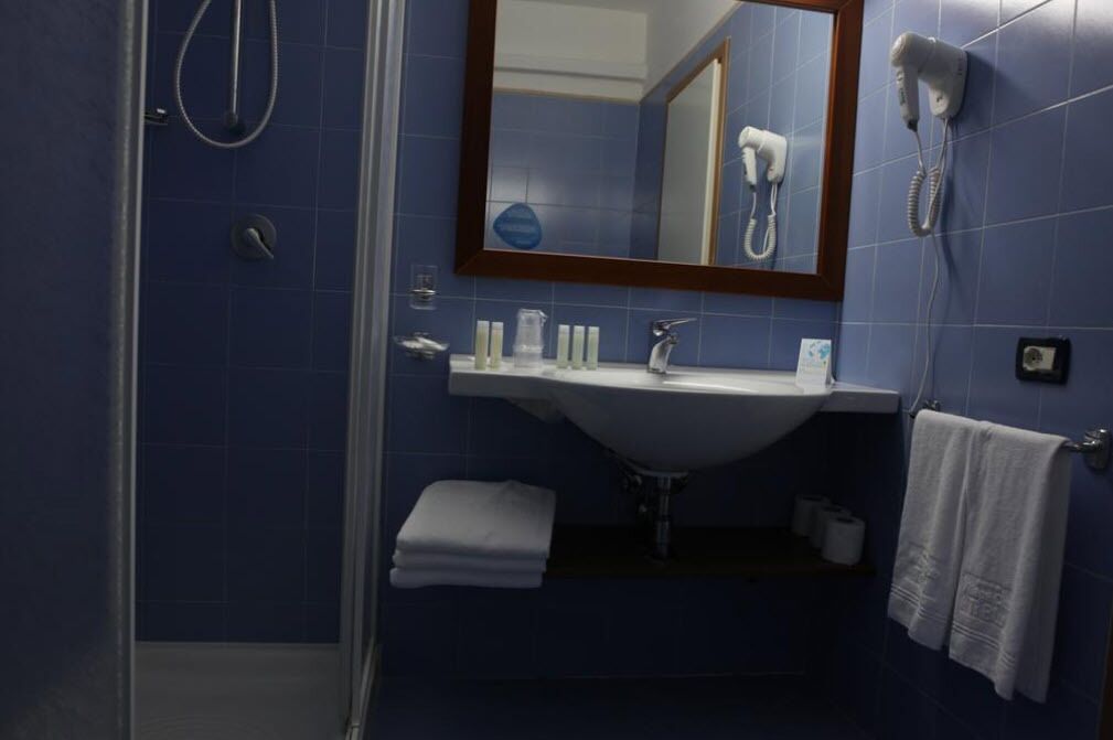 shower, free toiletries, hair dryer, bidet