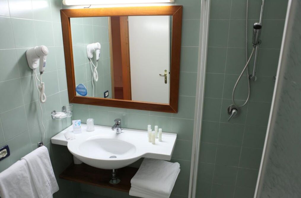 shower, free toiletries, hair dryer, bidet