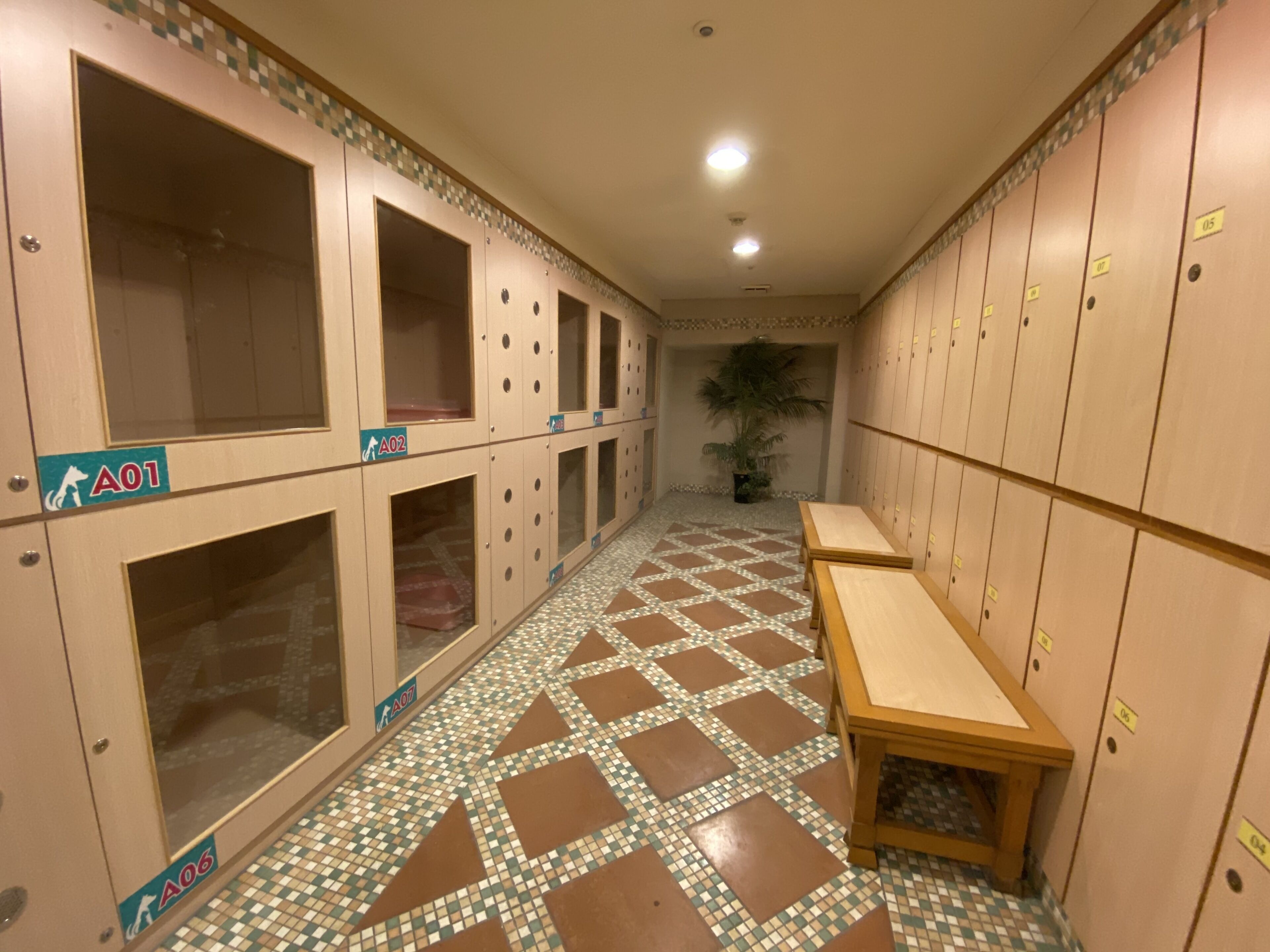 A locker room with numbered lockers, a tiled floor, and a bench.