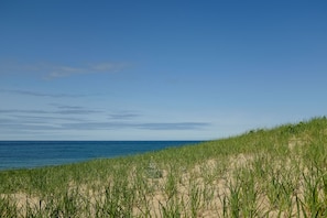 Nära stranden
