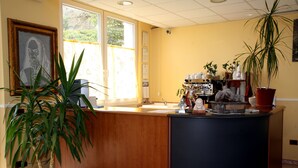 A reception area with a wooden counter, potted plants, and a window providing natural light. - Hotel Immagine (San Giovanni Rotondo)