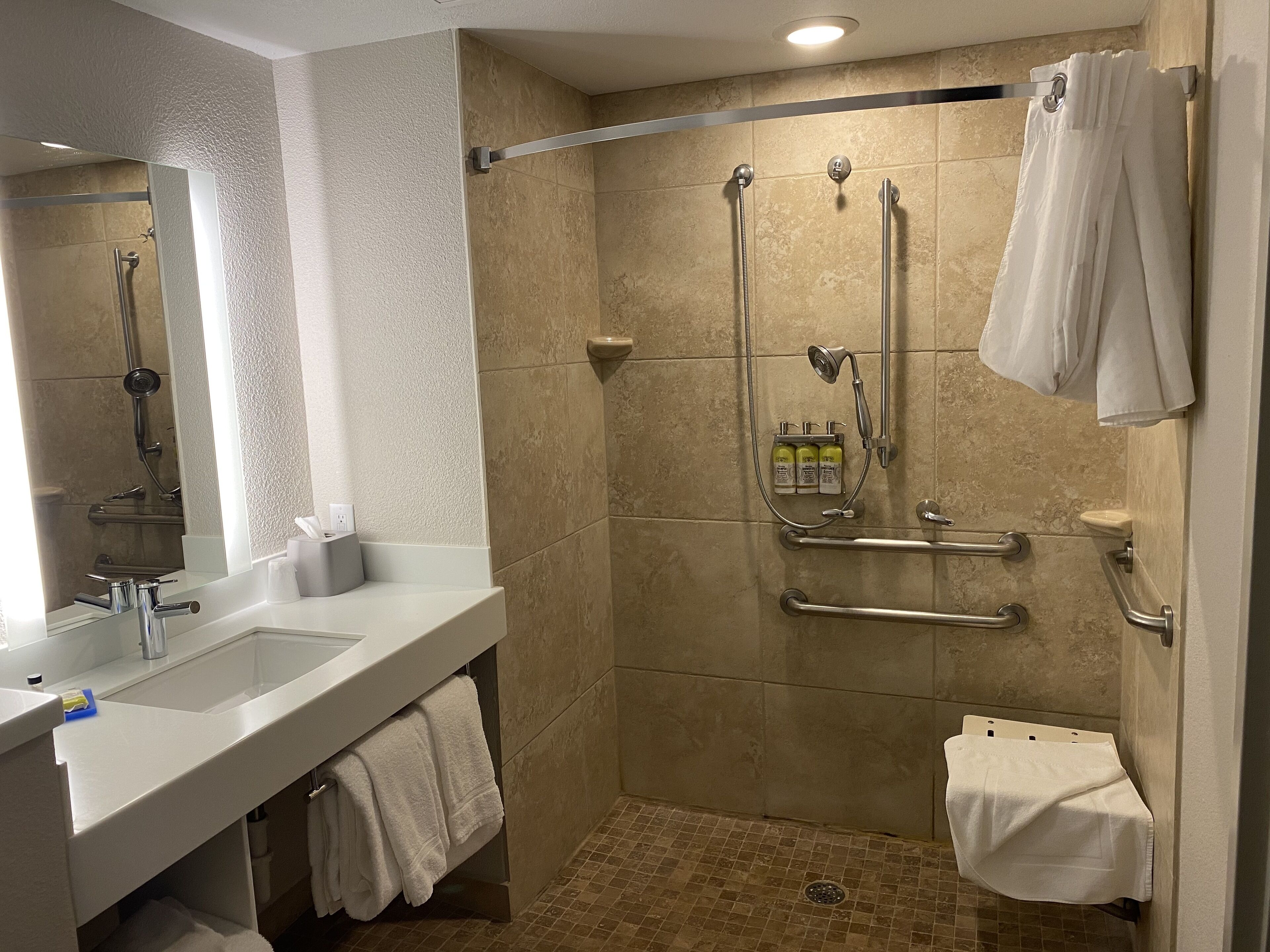 A modern bathroom with a walk-in shower, a vanity with a sink, and a toilet.