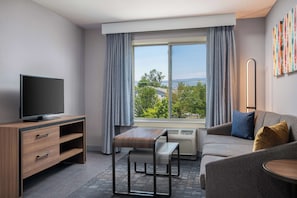 LCD TV, DVD player, pay movies