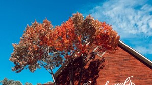 A red brick building with a large tree in front, displaying the name "Leinenkugel's". - Metropolis Resort (Eau Claire)