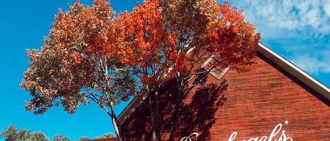 A red brick building with a large tree in front, displaying the name "Leinenkugel's".