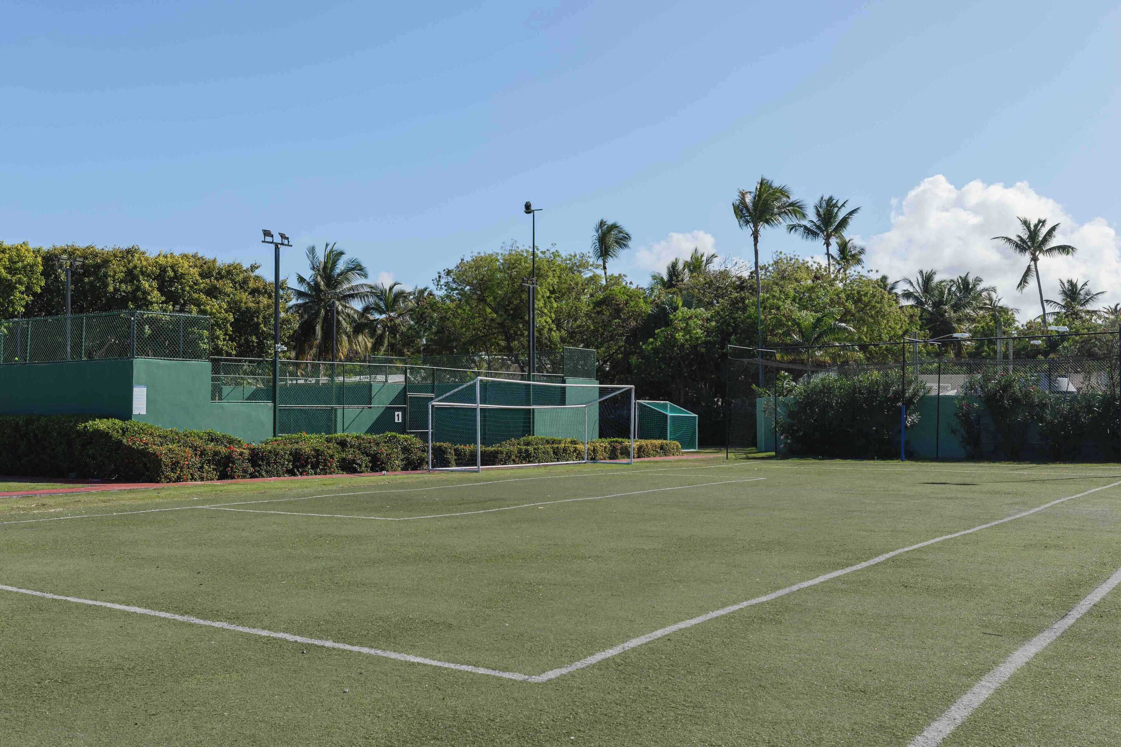 Un court de tennis entouré d’une clôture verte, avec des palmiers et un ciel dégagé.