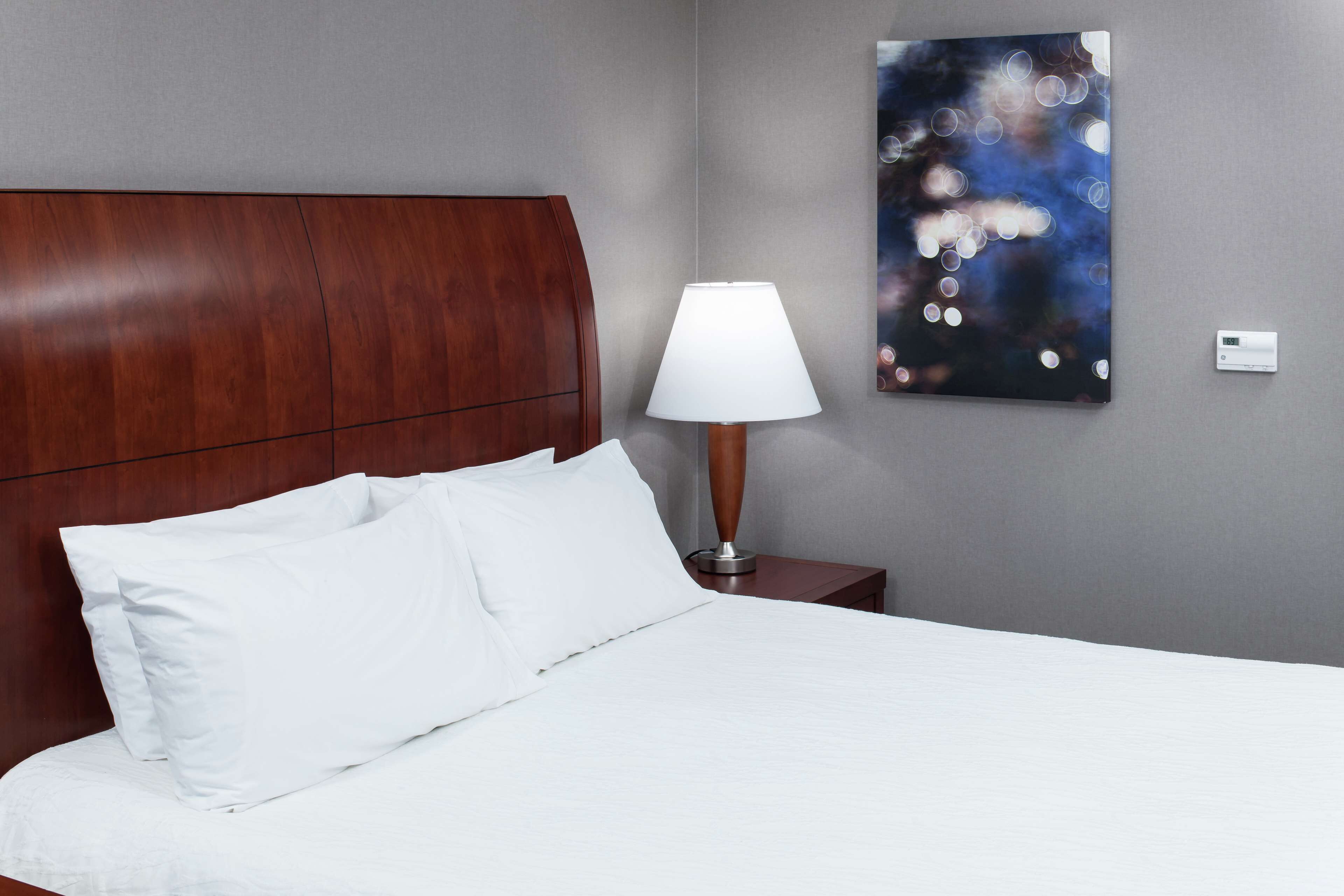 Photo - Hilton Garden Inn Naperville/Warrenville