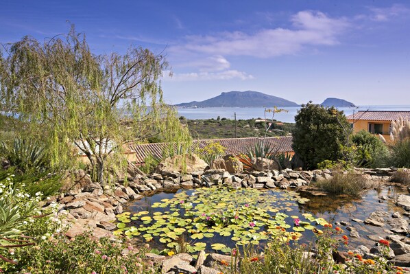A pond with lily pads and rocks, surrounded by greenery and a view of the sea and mountains.