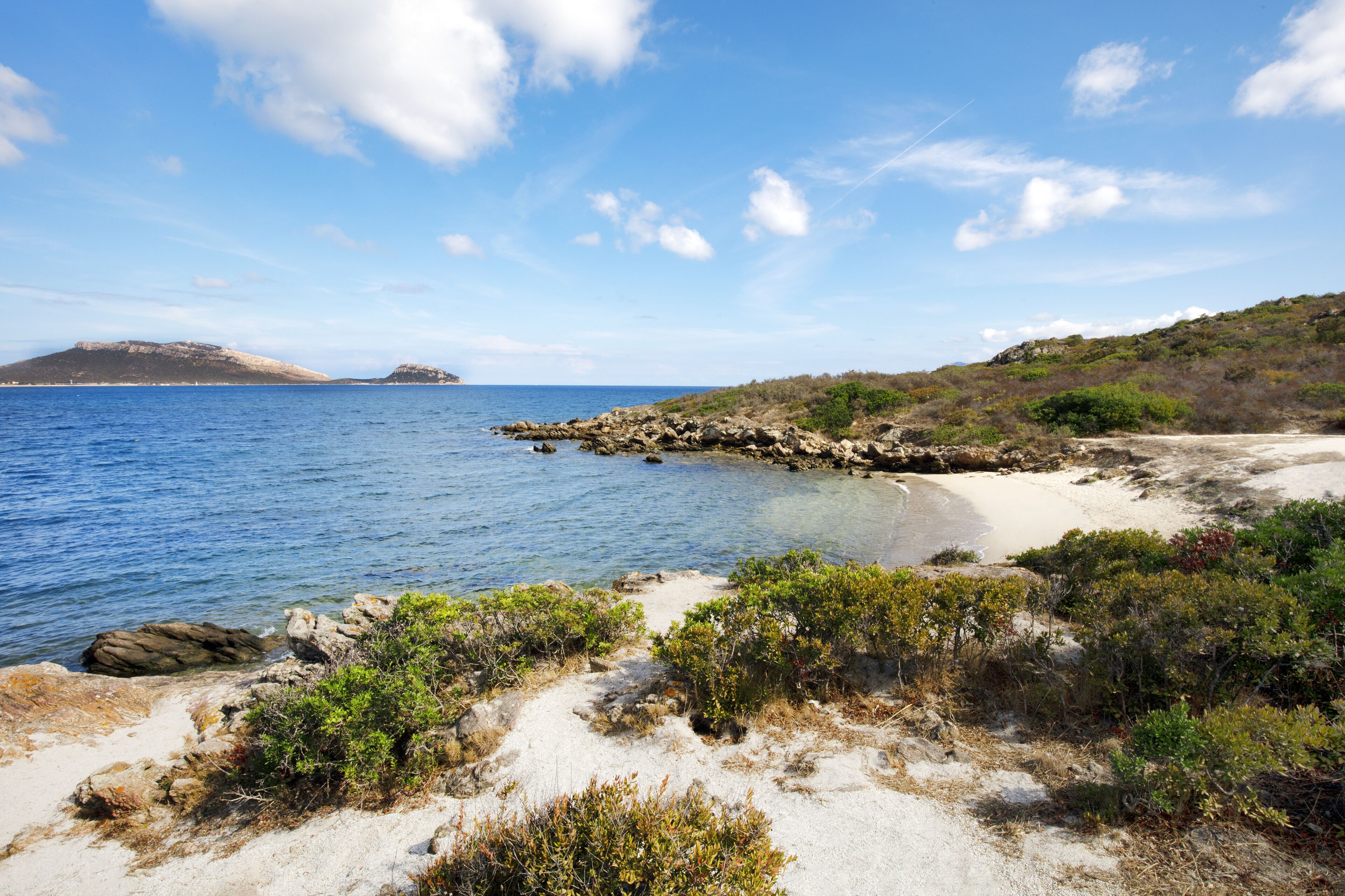 A coastal landscape with clear blue water, rocky shoreline, and sparse vegetation.