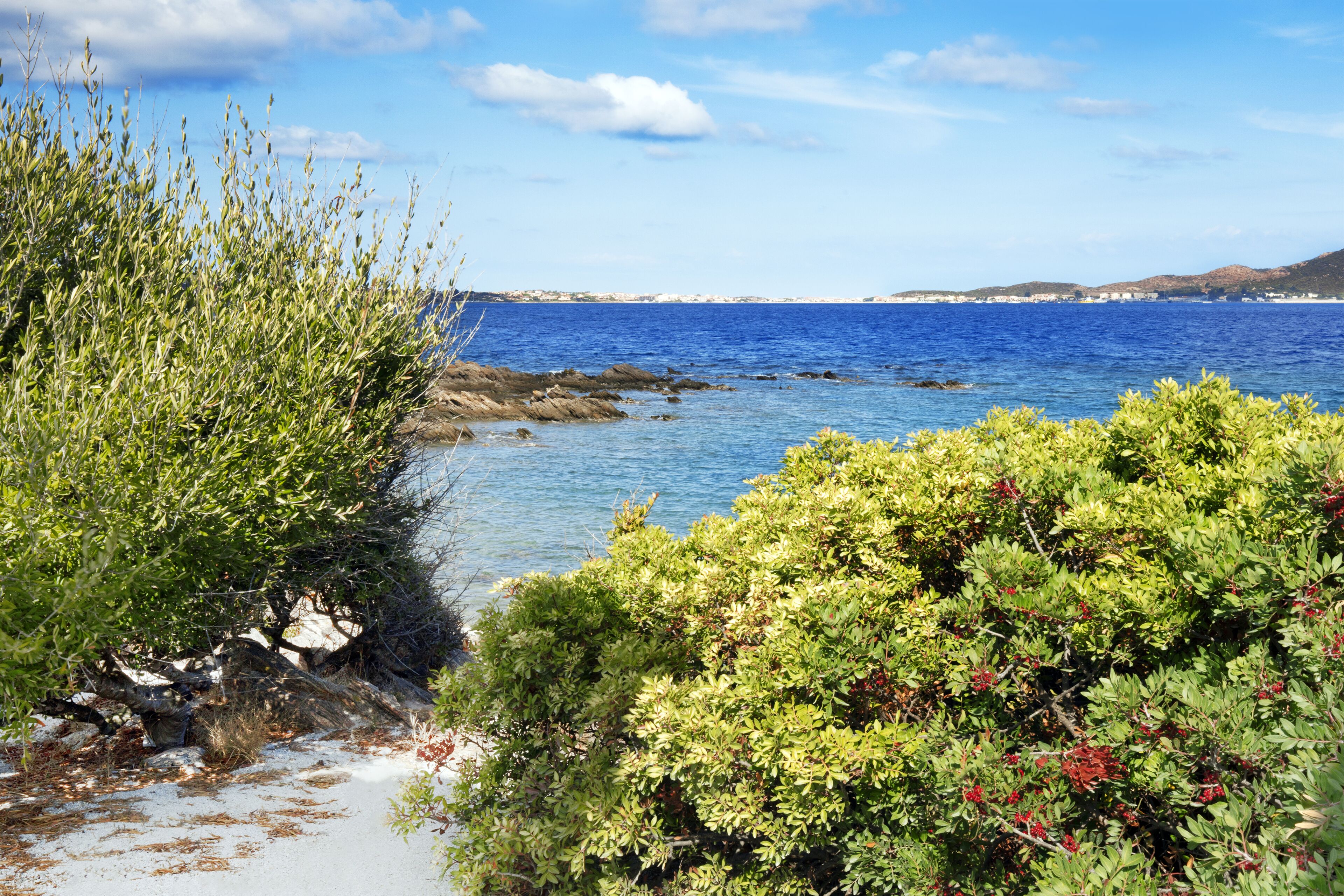 A coastal landscape with rocky shoreline, dense green shrubbery, and a clear blue sea.
