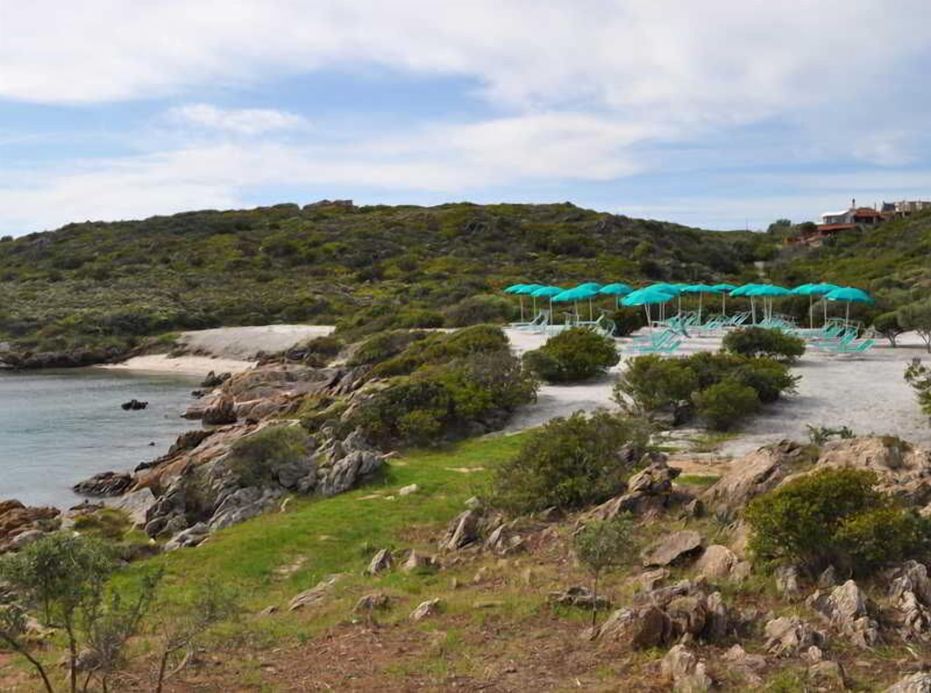 Une zone côtière comprenant une plage, un terrain rocheux et une rangée de parasols verts.