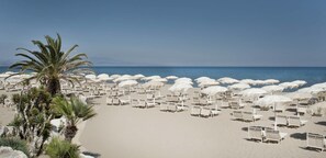 Een strand met rijen witte ligstoelen en parasols, palmbomen en een helderblauwe lucht.