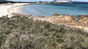A beach with clear waters, a sandy shore, and a mountainous backdrop. - Hotel San Teodoro (San Teodoro)