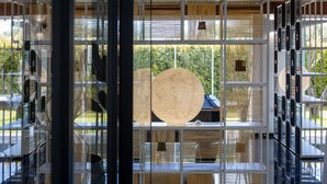 A modern interior with a glass partition, wooden slats, and a large circular object.