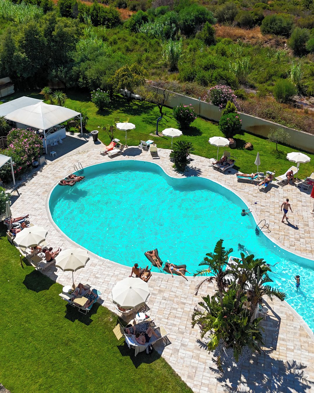 Una piscina con tumbonas y sombrillas, rodeada por un césped cuidado y diversas plantas.