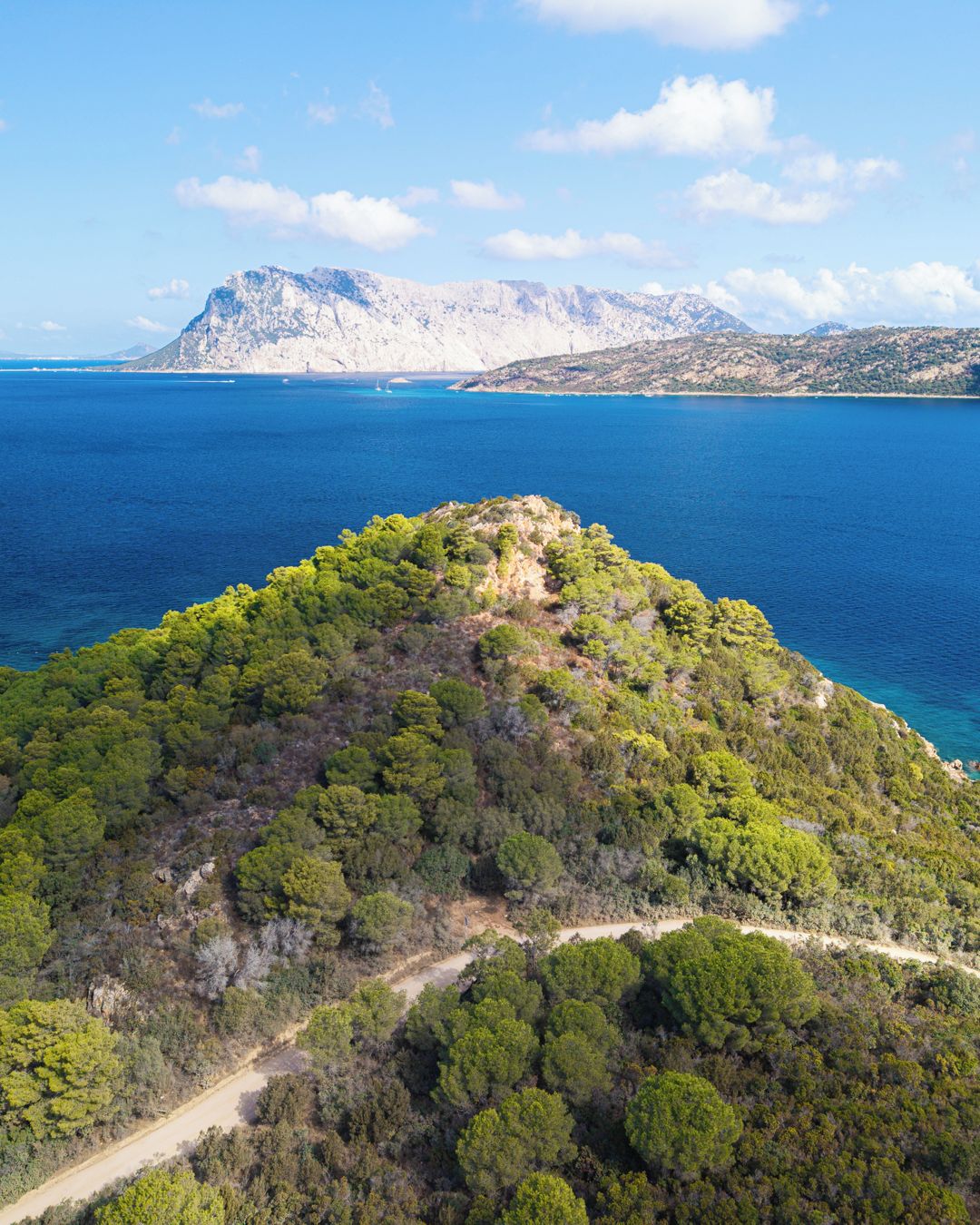 A mountainous landscape with a clear view of the sea and a path leading through dense greenery.