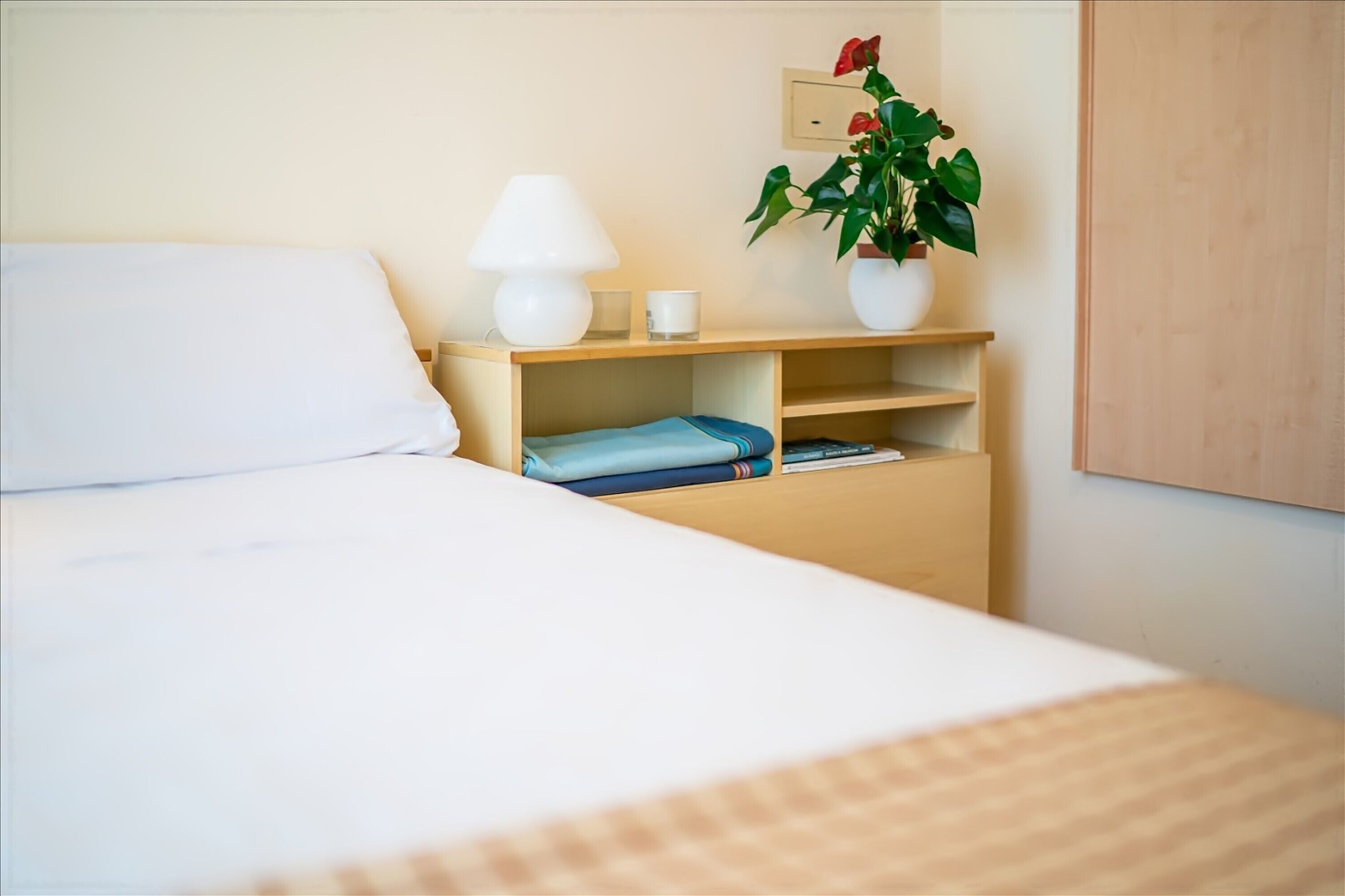 single room | 1 bedroom, in-room safe, desk, free wifi