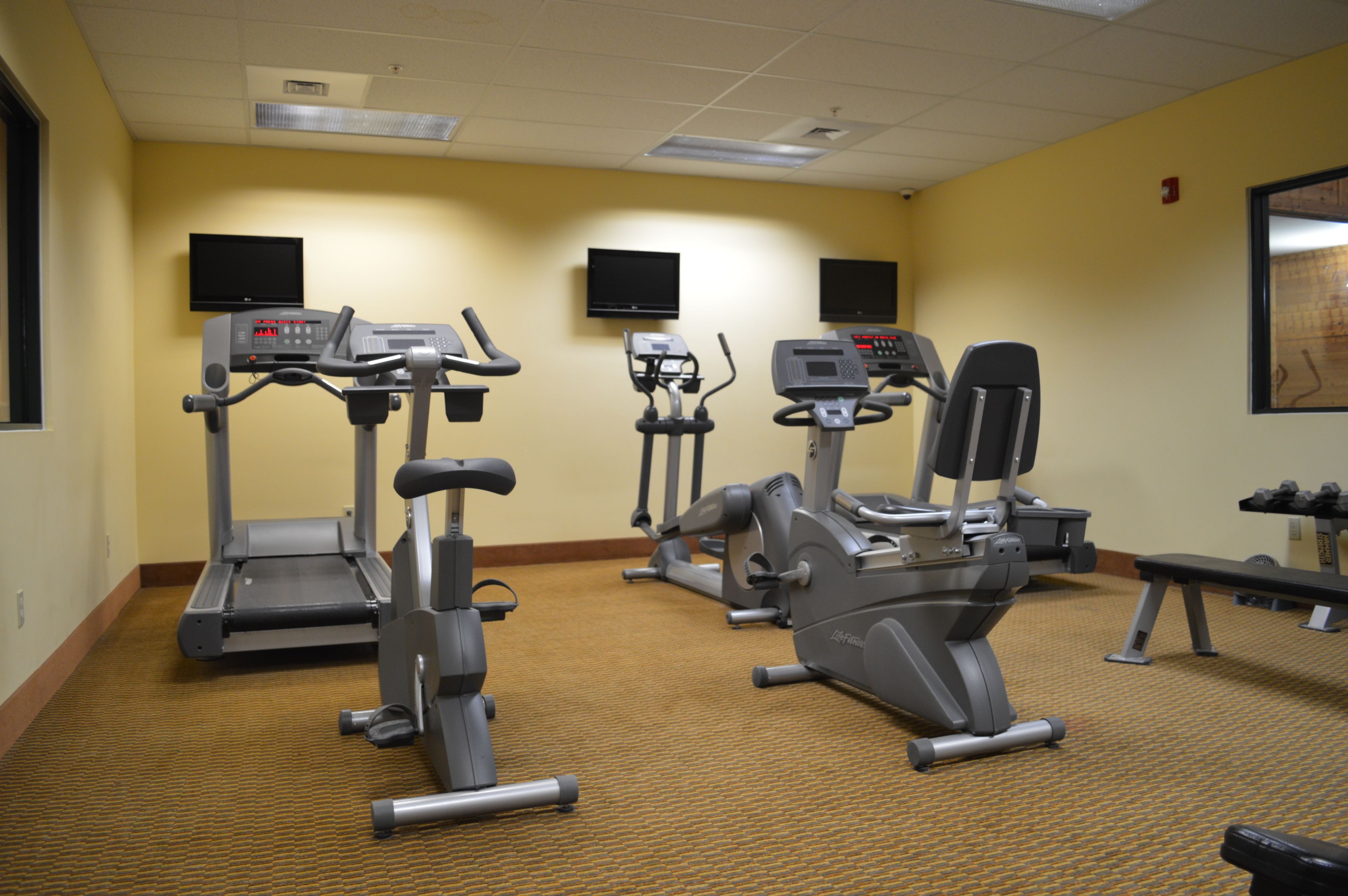 A fitness room with treadmills, elliptical machines, and a bench.
