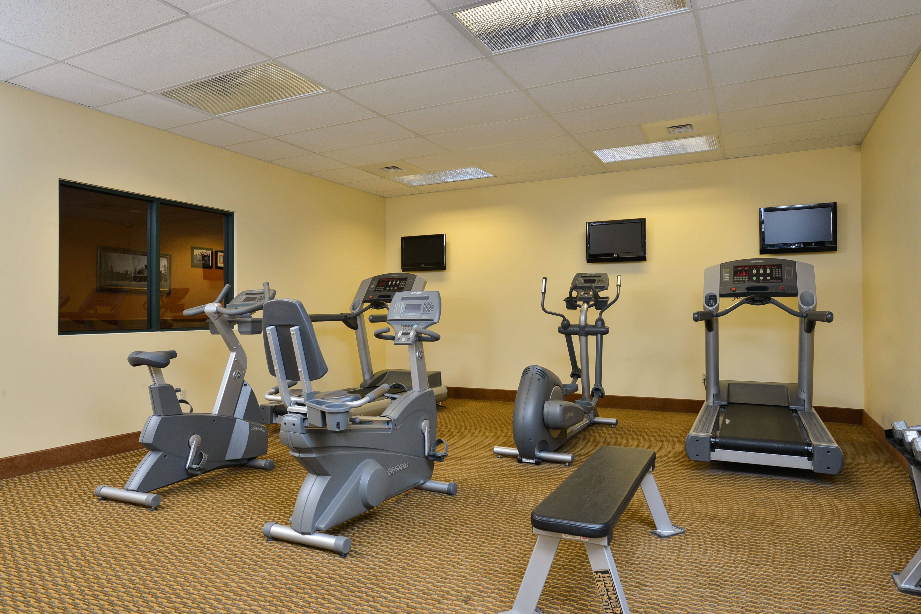 A fitness center with treadmills, elliptical machines, and a bench.